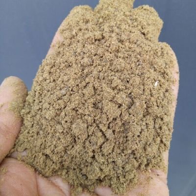 哪種91免费网站在线观看設備可以對魚粉進行篩分？